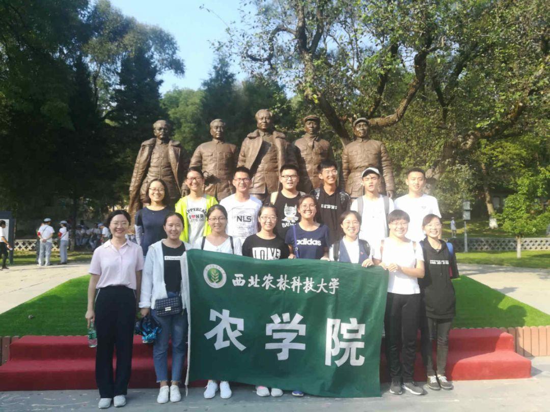 铲屎官在一旁看猫咪的影片，两只狗子发现后反应太神奇了…